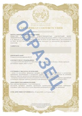 Образец Сертификат СТО 01.064.00220722.2-2020 Новочеркасск Сертификат СТО 01.064.00220722.2-2020 